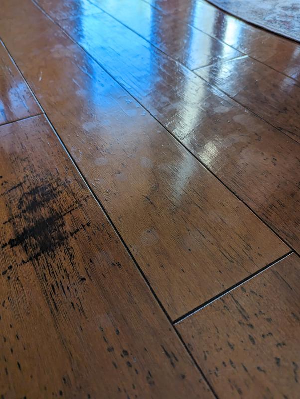  Method Hardwood Floor Cleaner Squirt + Mop Bottle, Spearmint  Sage, For Sealed Hardwood and Laminate Floors, 25 Fl Oz (Pack of 1) :  Health & Household