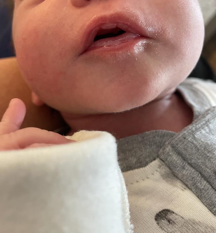 Photo - commentaire 6.