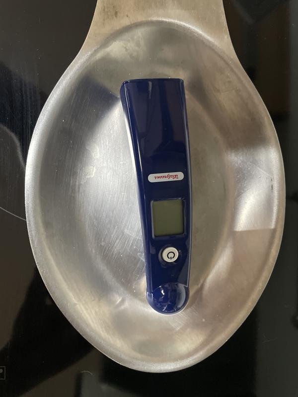 Walgreens Mini Temple Digital Thermometer