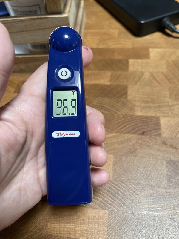 Walgreens Mini Temple Digital Thermometer