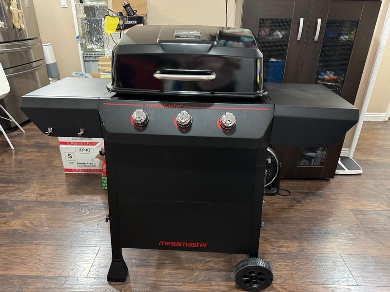 Tera gear 2024 bbq review