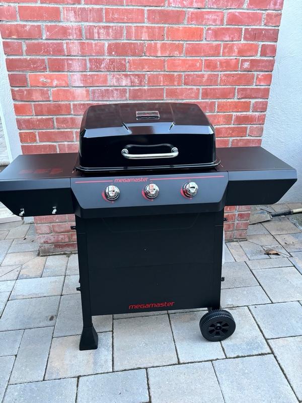 Tera gear 2024 bbq review