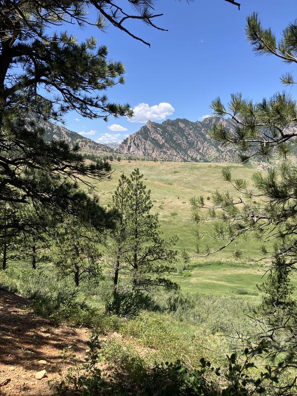 Customer photo for "Essential for Colorado hiking survival!"