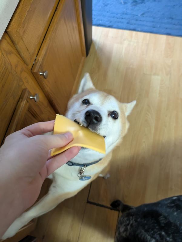 Meijer American Cheese Singles, 16 oz Meijer