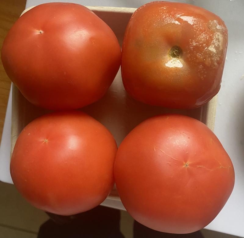 Premium Tomatoes, 4 ct. | Meijer