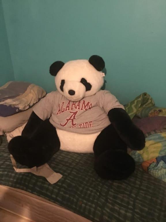 The panda wearing the crimson tide shirt