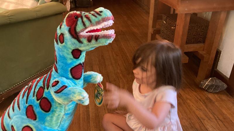 Customer photo for "Dino Buddy"