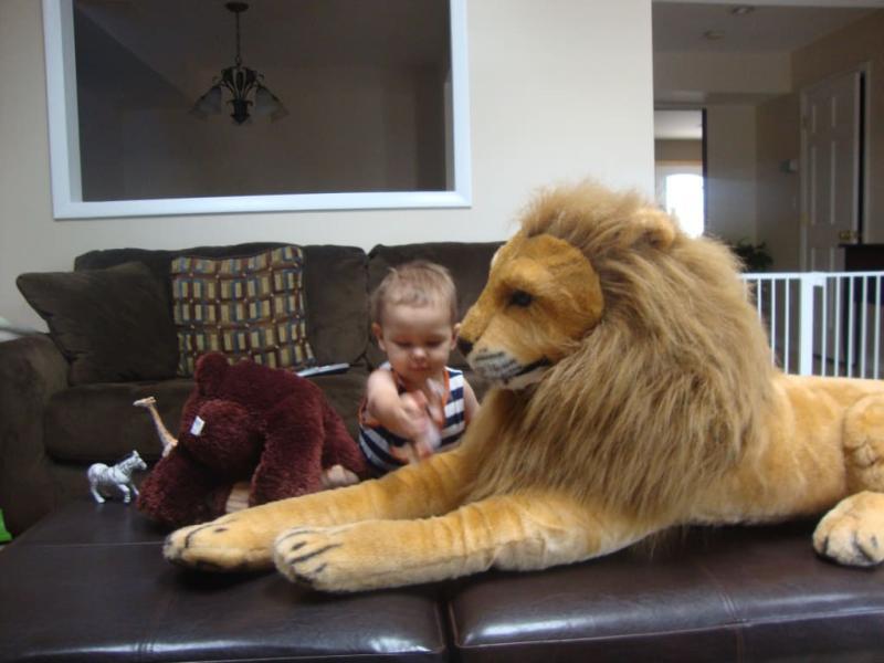 melissa and doug giant lion
