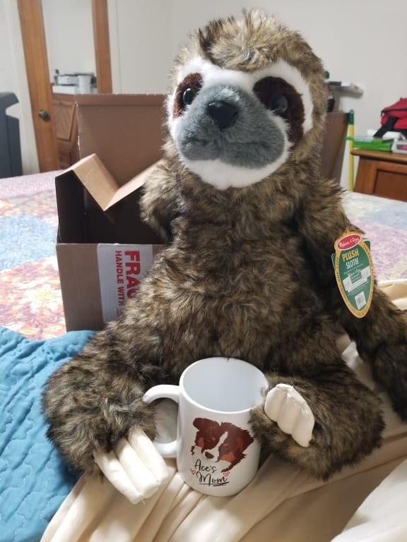 Melissa and doug sloth online