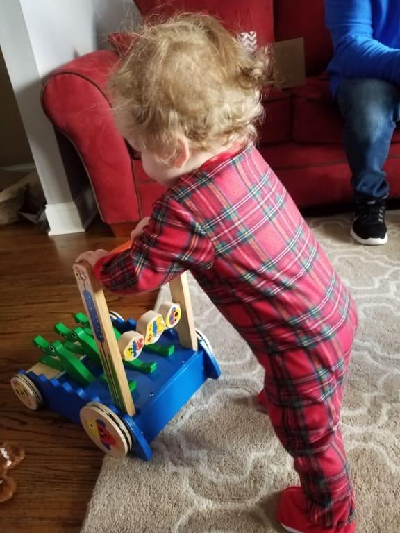 chomp and clack alligator push toy