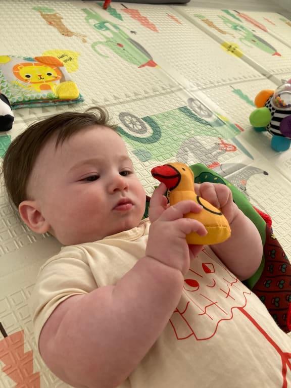 Small crinkle and rattle farm animals