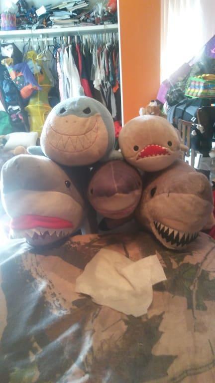 This is her shark cuddle. The one on the far left is the product his name is gilly. She also has woody in the middle bottom next to him is mikey then on top left bruce an winston the baby chunky shark which she takes care of like a baby lol He is gilly's younger brother.
