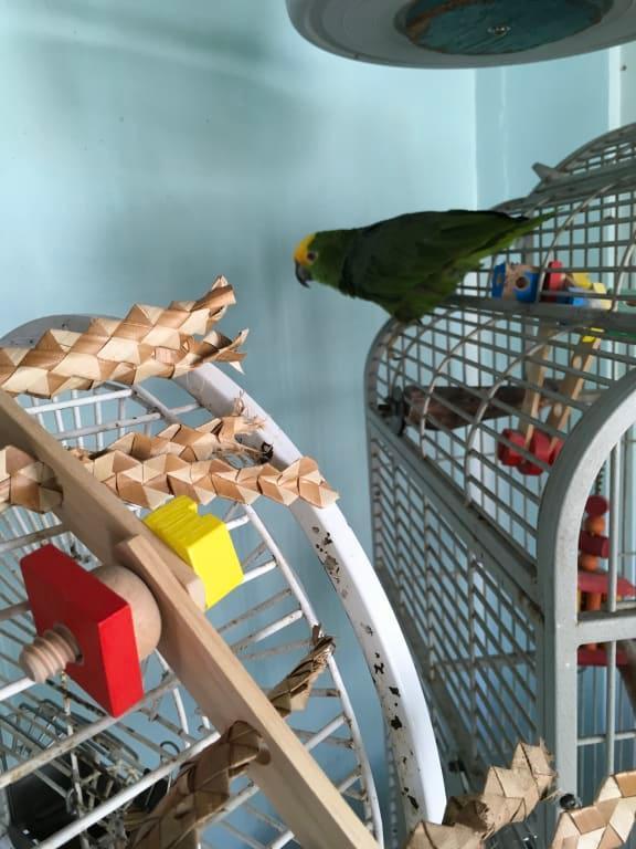 Miss. Tucker enjoys your construction set.