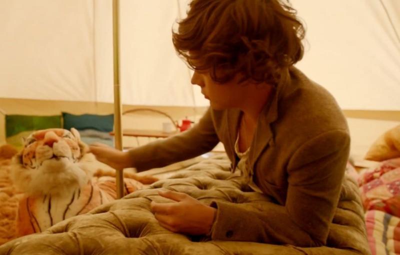 Harry and the tiger.