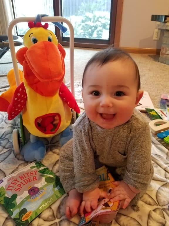 melissa and doug pelican