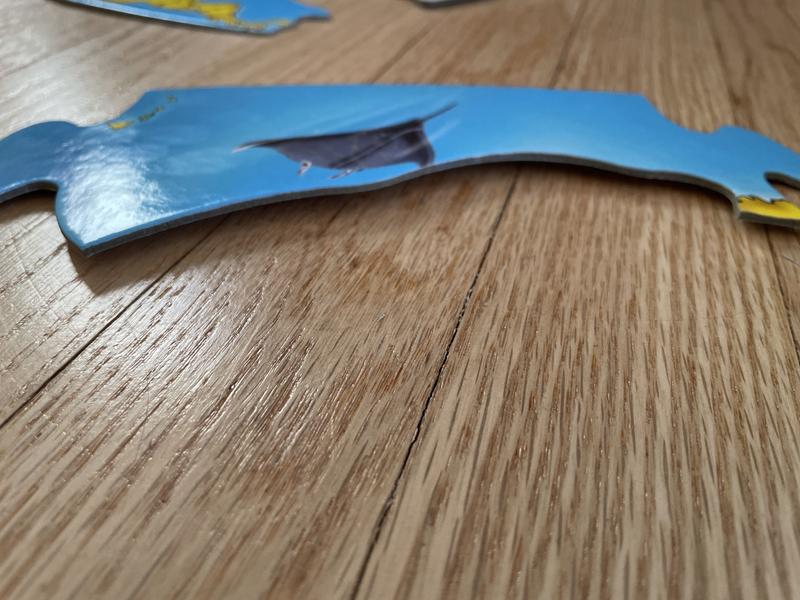 Photo from GirlMom