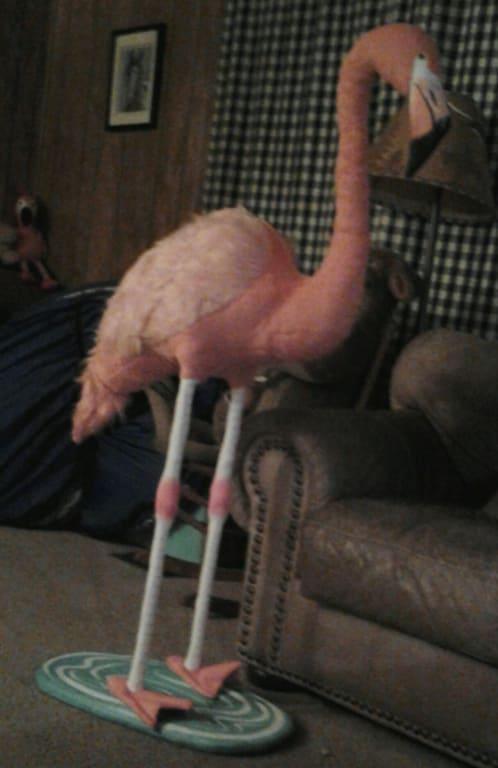 large stuffed flamingo