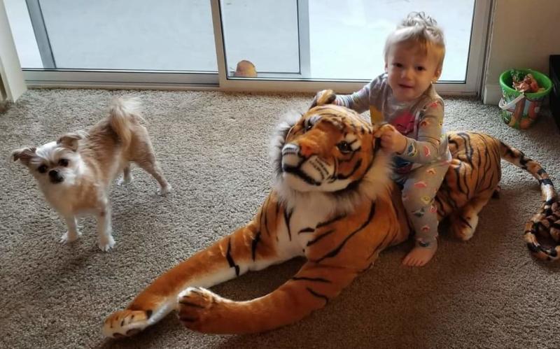 Melissa and doug on sale tiger stuffed animal