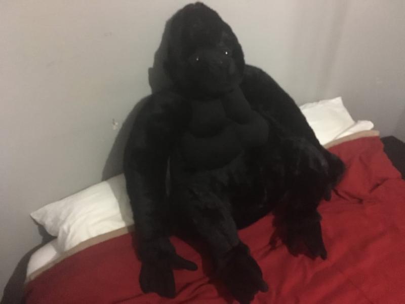 My big stuffed gorilla