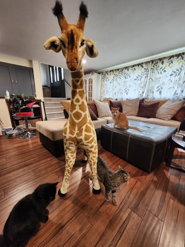 My cats saying goodbye to Patches...as you can see, it is indeed a very large giraffe.