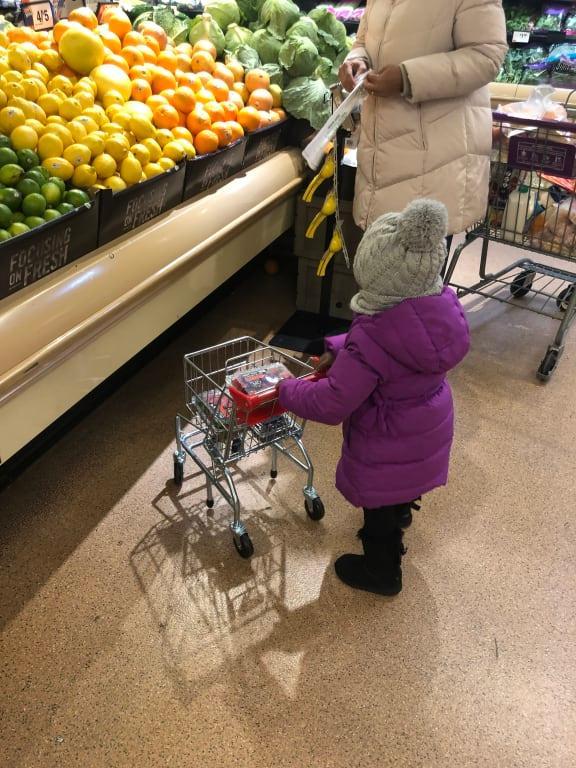 shopping cart and food play set