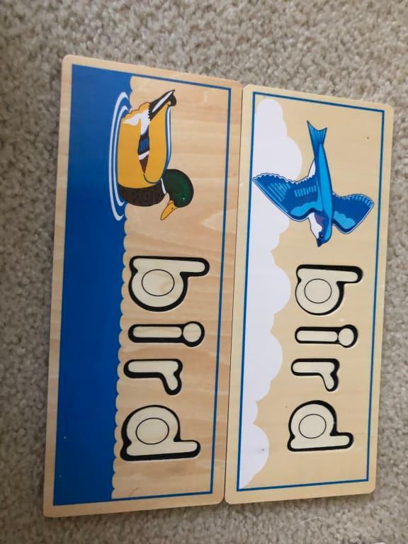 Pic on the bottom it's a duck and it says bird