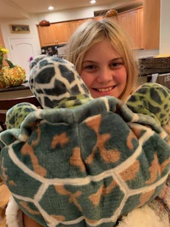 melissa and doug sea turtle
