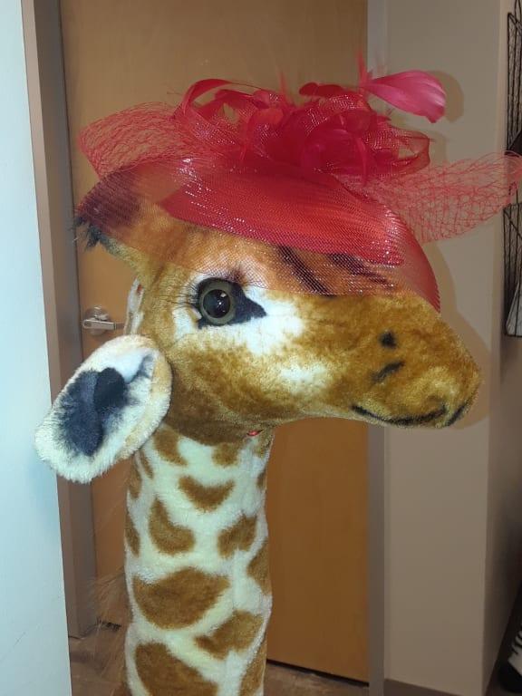 5 foot giraffe stuffed animal