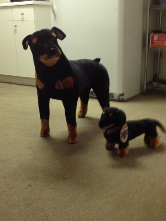 melissa and doug rottweiler