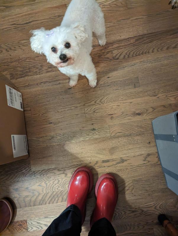 Customer photo for "Love these boots!"