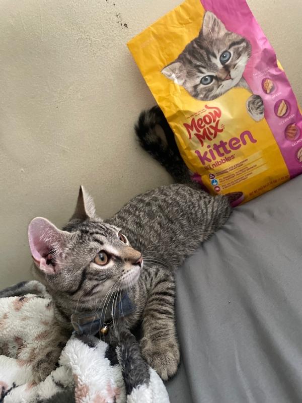 Meow Mix Kitten Li l Nibbles Dry Cat Food 3.15 Pound Bag Meijer