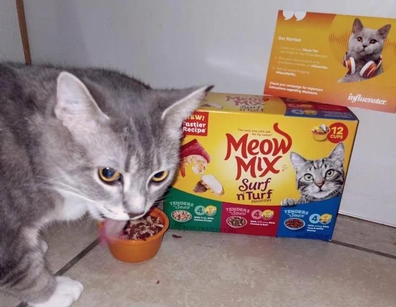 Meat up cat food review sale