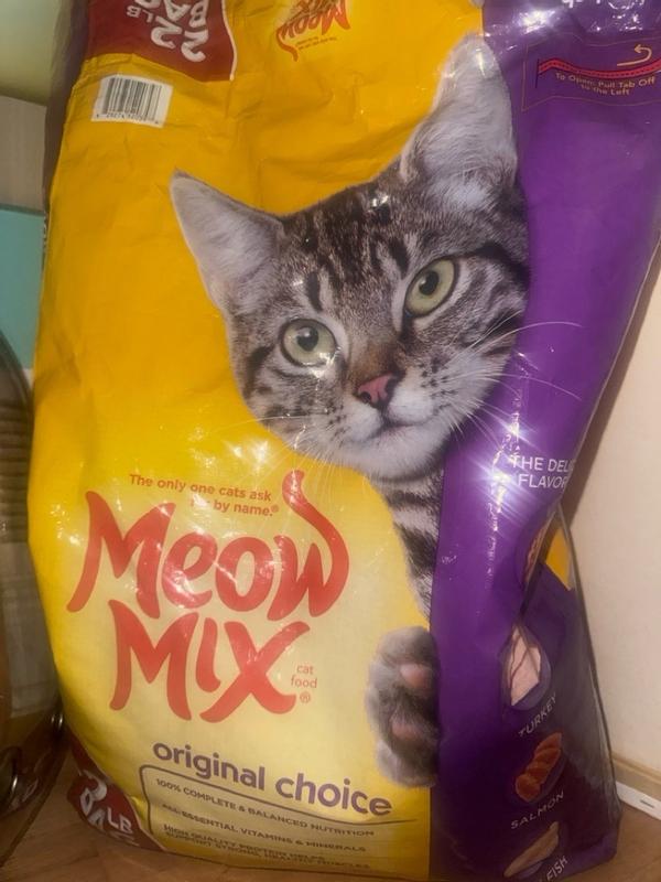 Meow Mix Dry Cat Food Original Flavor 16 lb Meijer