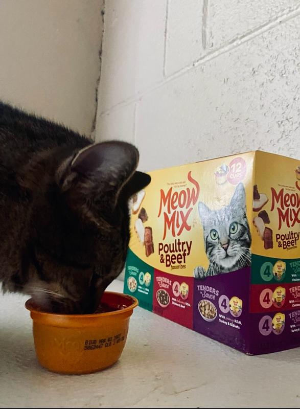Meow Mix 12-Count Poultry & Beef Cat Food Variety Pack