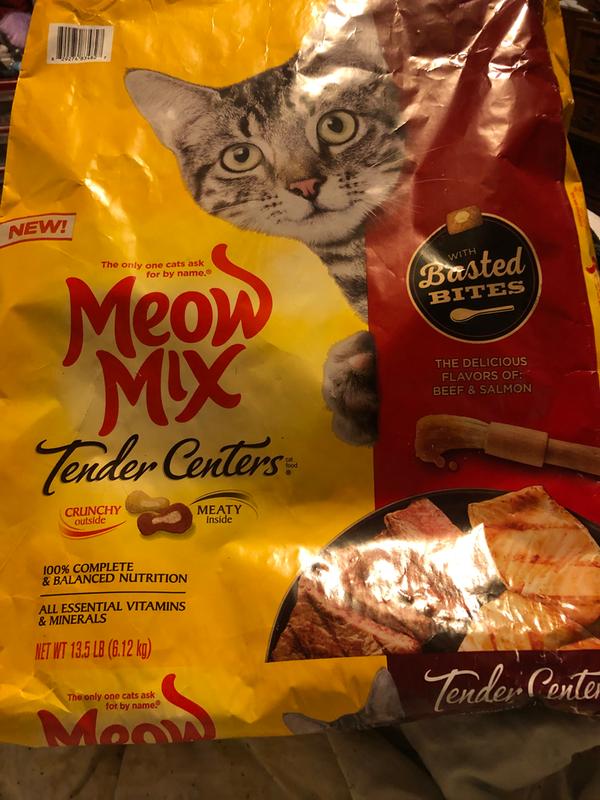 Meow Mix Tender Centers Dry Cat Food with Basted Bites Beef