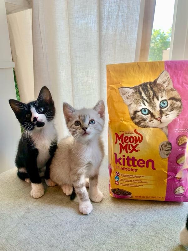 Is meow mix safe for cats best sale