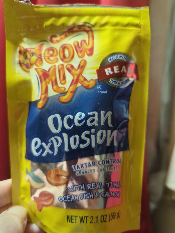 Ocean explosion cat treats best sale