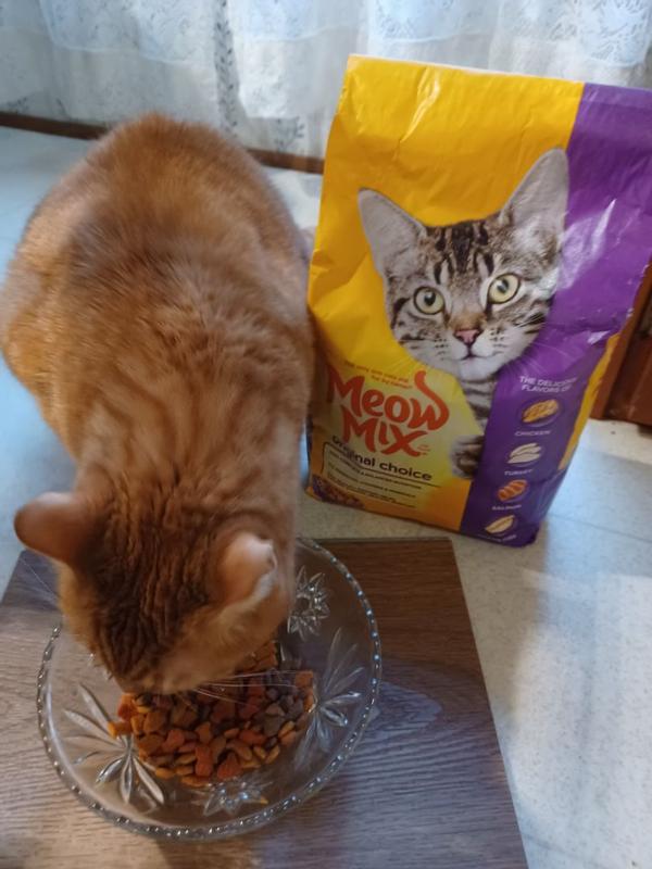 Meow mix 30 lb bag sale