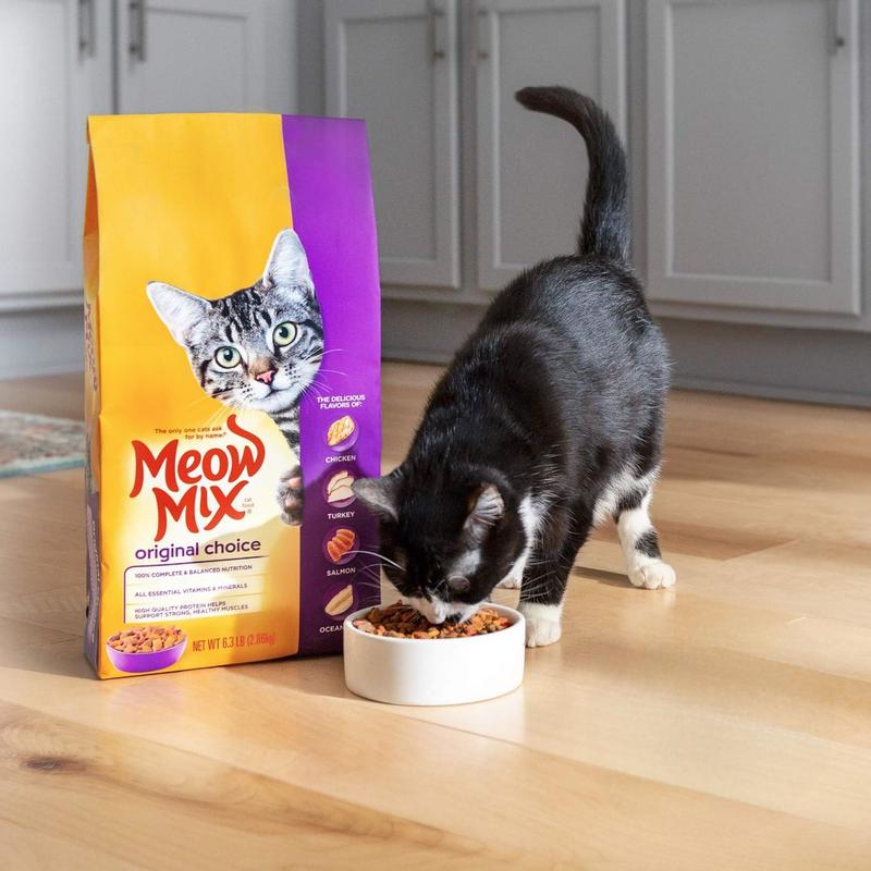 Meow Mix Original Choice Dry Cat Food Petsense