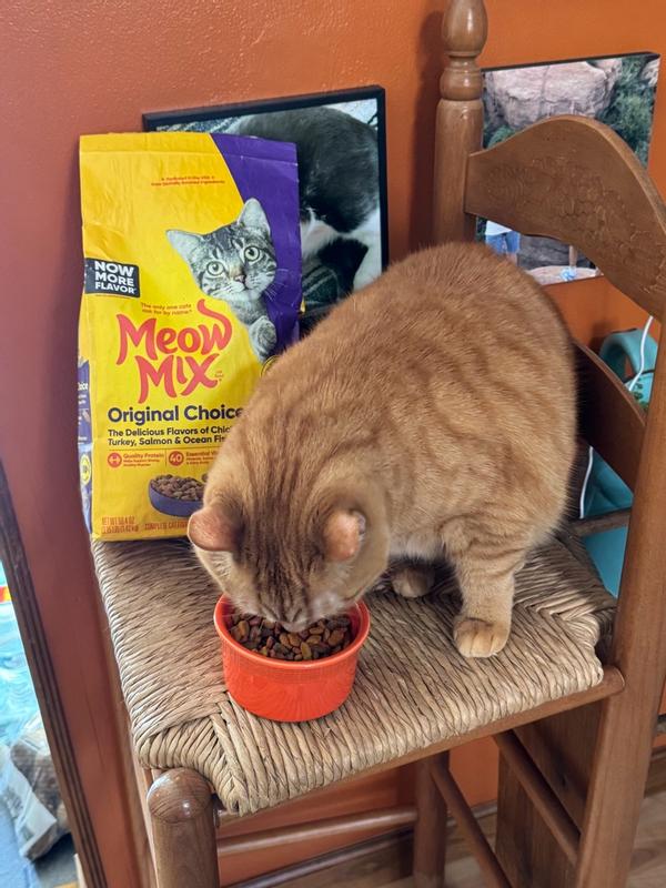 Meow Mix Original Choice Dry Cat Food – Petsense