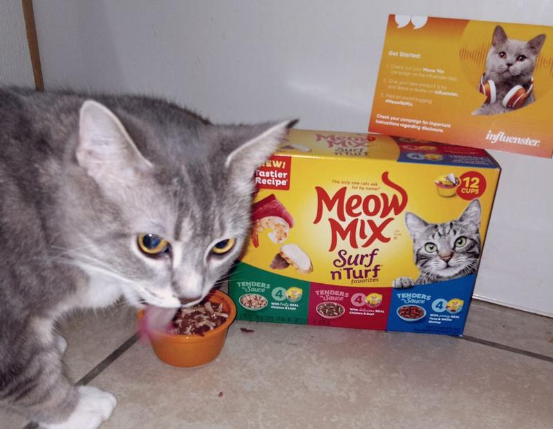 Meow Mix Tenders in Sauce Wet Cat Food Variety Pack, Surf N Turf