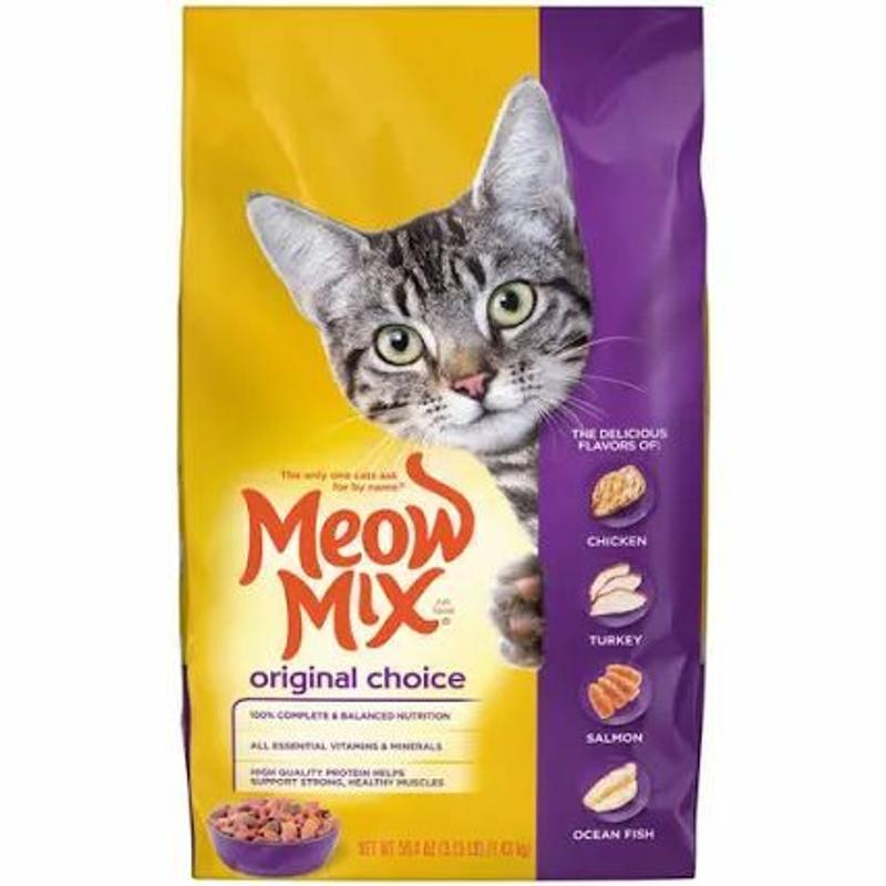 Cat prefers dry food best sale
