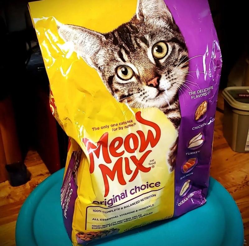 Meow mix made my cat outlet sick