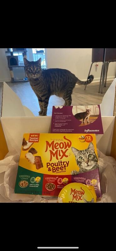 Baxter the cat meow mix hotsell