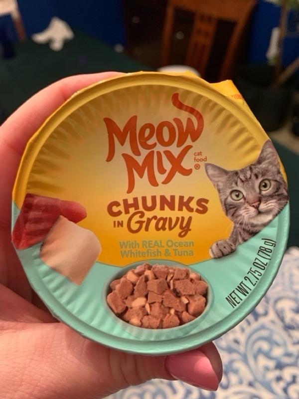 Meow Mix Savory Morsels Seafood Favorites Variety Pack Wet Cat Food 2.75 oz. Pack of 12 Petco