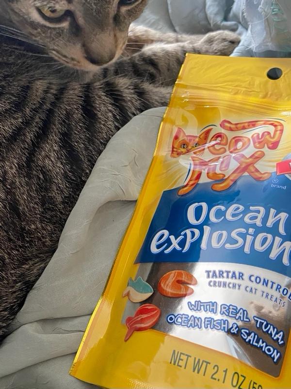 Meow mix ocean explosion cat treats best sale