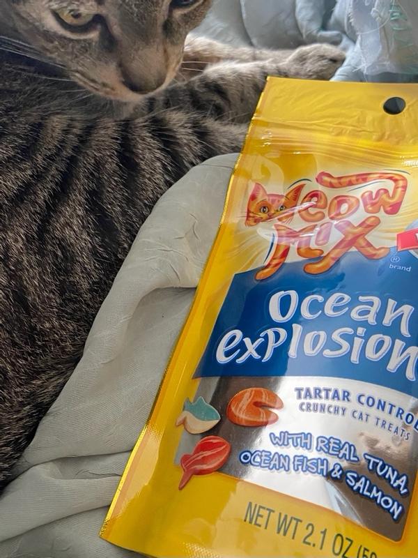 Ocean explosion cat treats hotsell