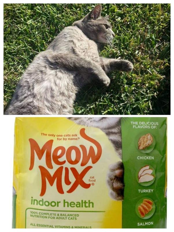 Meow mix indoor store health