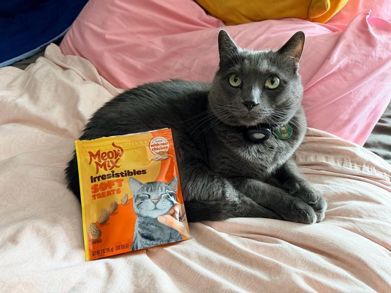 Meow Mix 12 oz Irresistibles Chicken Soft Cat Treats - 2927499049