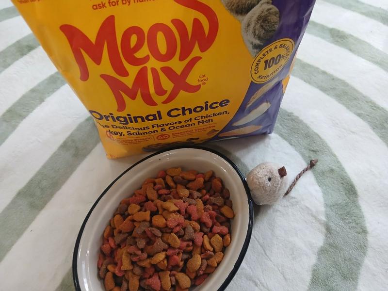 Buy Meow Mix Original Choice Dry Cat Food, 10 Pound Bag from